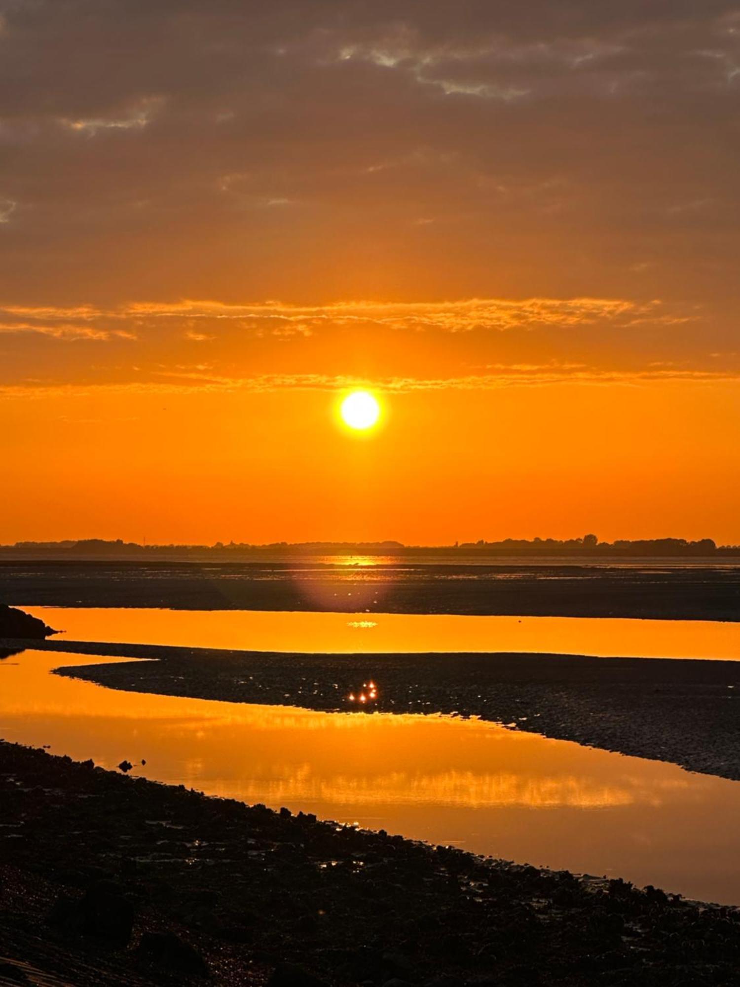 Vakantiewoning De Bosrand Aan Zee ซินท์ อันนาลอนด์ ภายนอก รูปภาพ