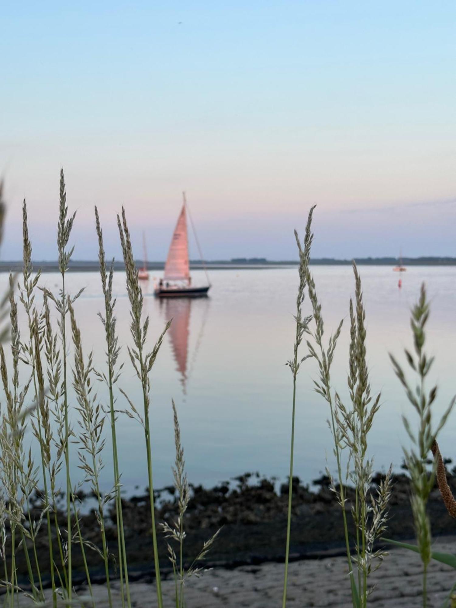 Vakantiewoning De Bosrand Aan Zee ซินท์ อันนาลอนด์ ภายนอก รูปภาพ